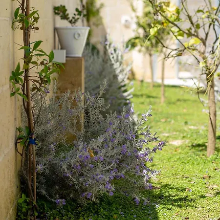 Bed & Breakfast Relais Da Fabio 3*