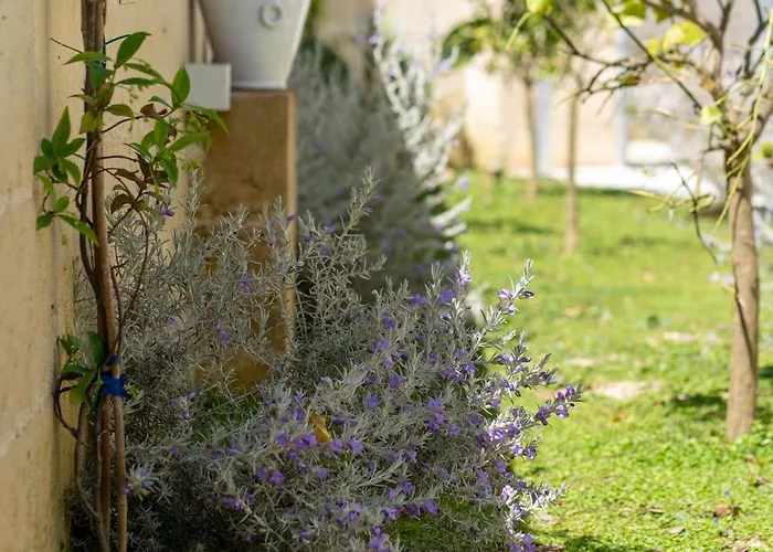 住宿加早餐酒店 Relais Da Fabio 3*